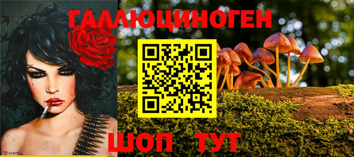 Дзержинск  Галлюциногенные грибы ЛСД  Вход с VPN  Псилоцибиновые грибы Magic Shrooms 